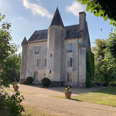 Chateau De Re Le Petit-Pressigny Εξωτερικό φωτογραφία