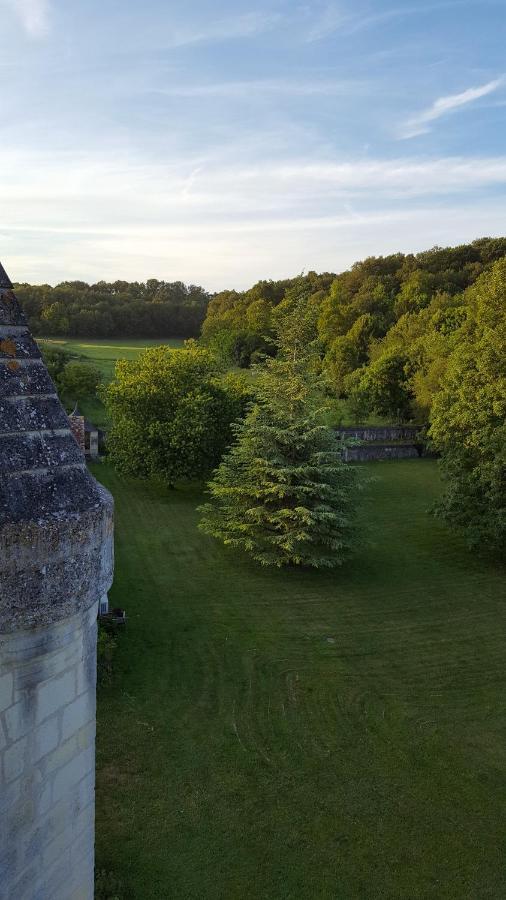 Chateau De Re Le Petit-Pressigny Εξωτερικό φωτογραφία