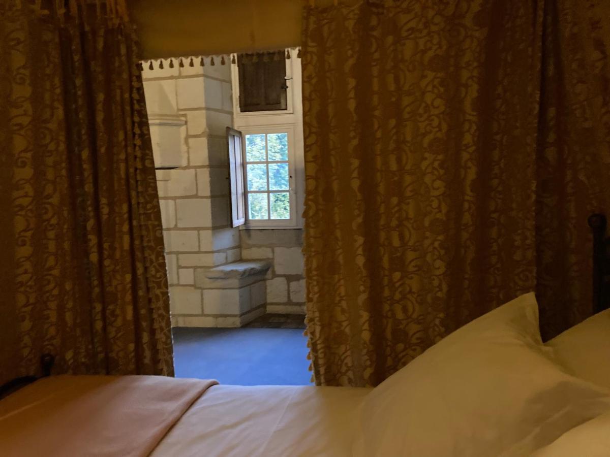 Chateau De Re Le Petit-Pressigny Εξωτερικό φωτογραφία